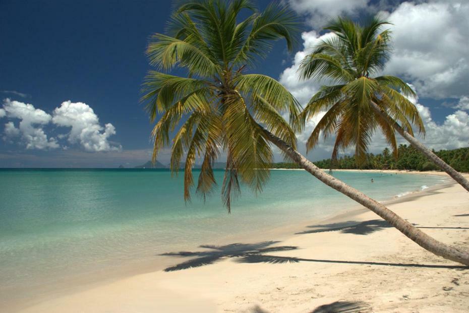 Holidays In Martinique - Ravenala Sainte-Anne Bagian luar foto
