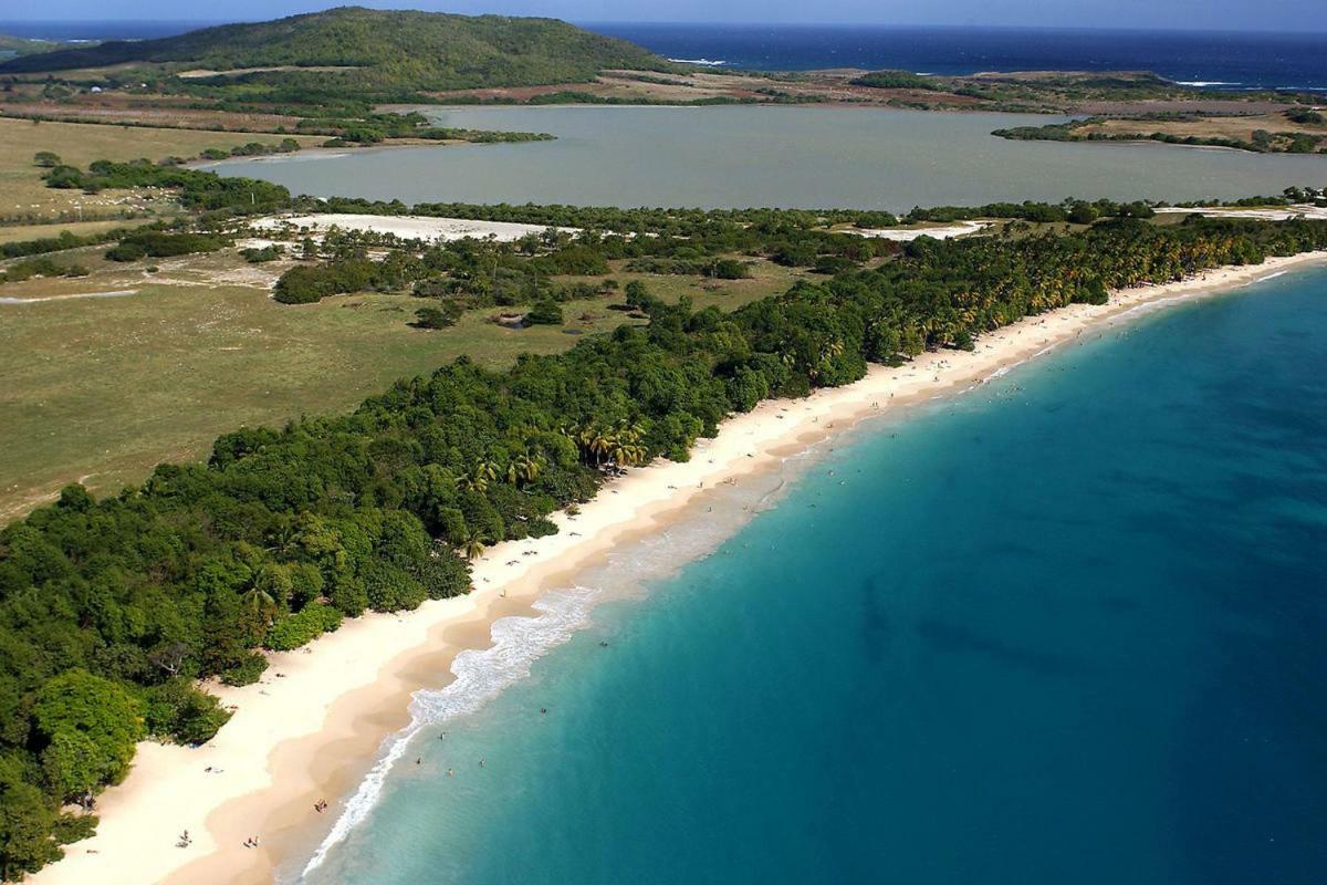 Holidays In Martinique - Ravenala Sainte-Anne Bagian luar foto