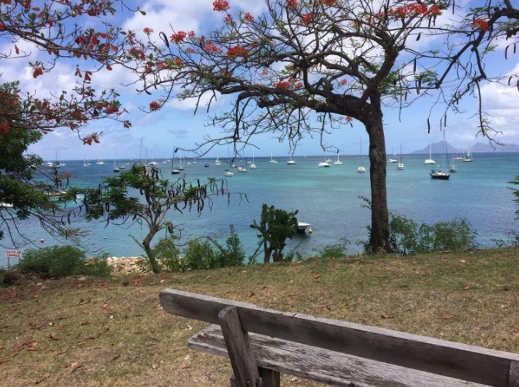 Holidays In Martinique - Ravenala Sainte-Anne Bagian luar foto