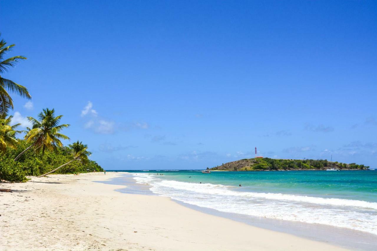 Holidays In Martinique - Ravenala Sainte-Anne Bagian luar foto